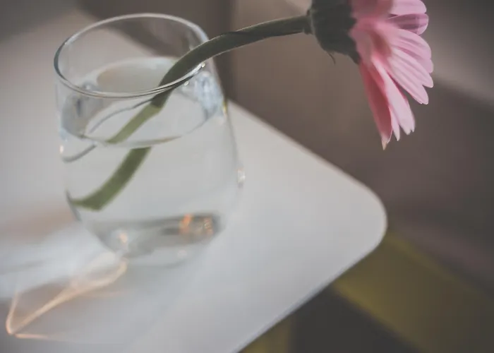 Affittacamere Mgzn Basilica Budapest